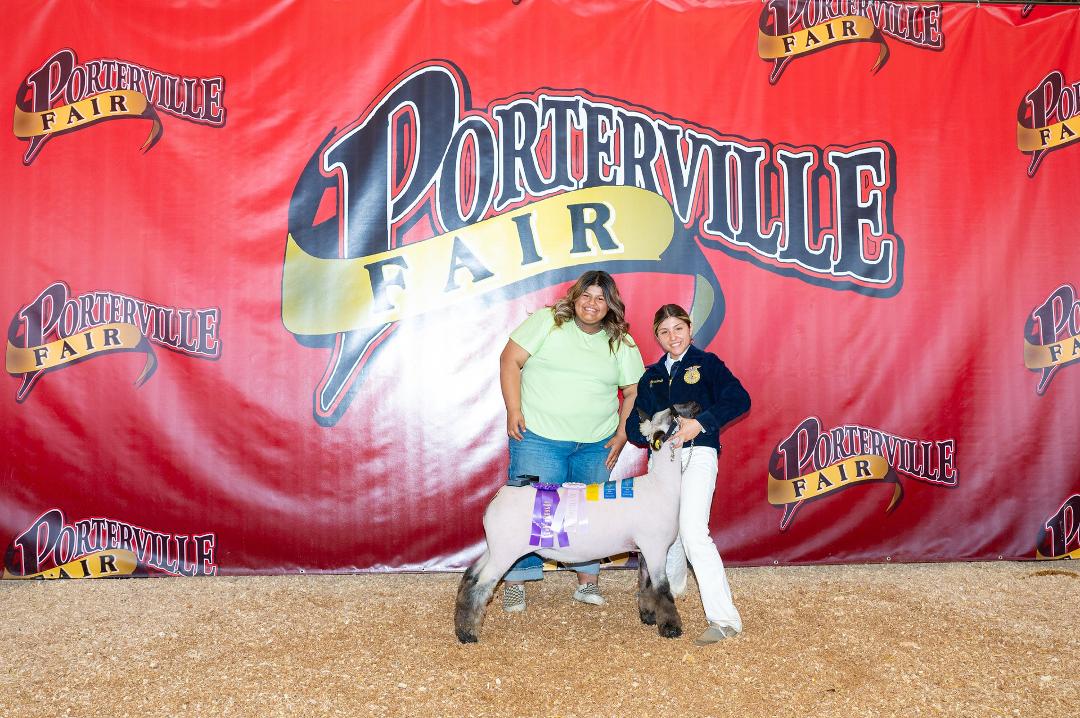 Congratulation to Vanya Arredondo of Lindsey FFA on her Reserve Champion Speckle Face Market Lamb at the Porterville Fair. Your dedication to your project paid off for you.