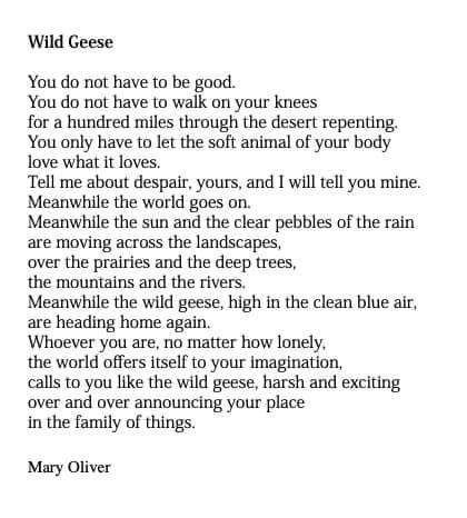 i love this.  Enjoy!