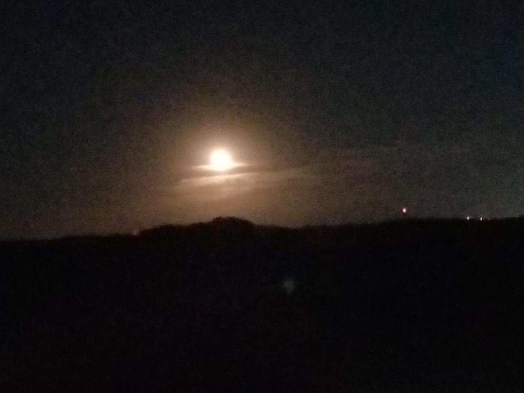 Straight out of my phones camera.