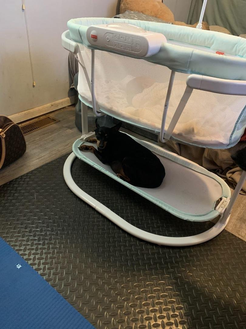 Penelope is very protective of Lisa's Baby