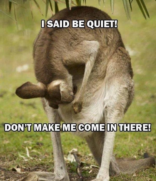 HaHaHa