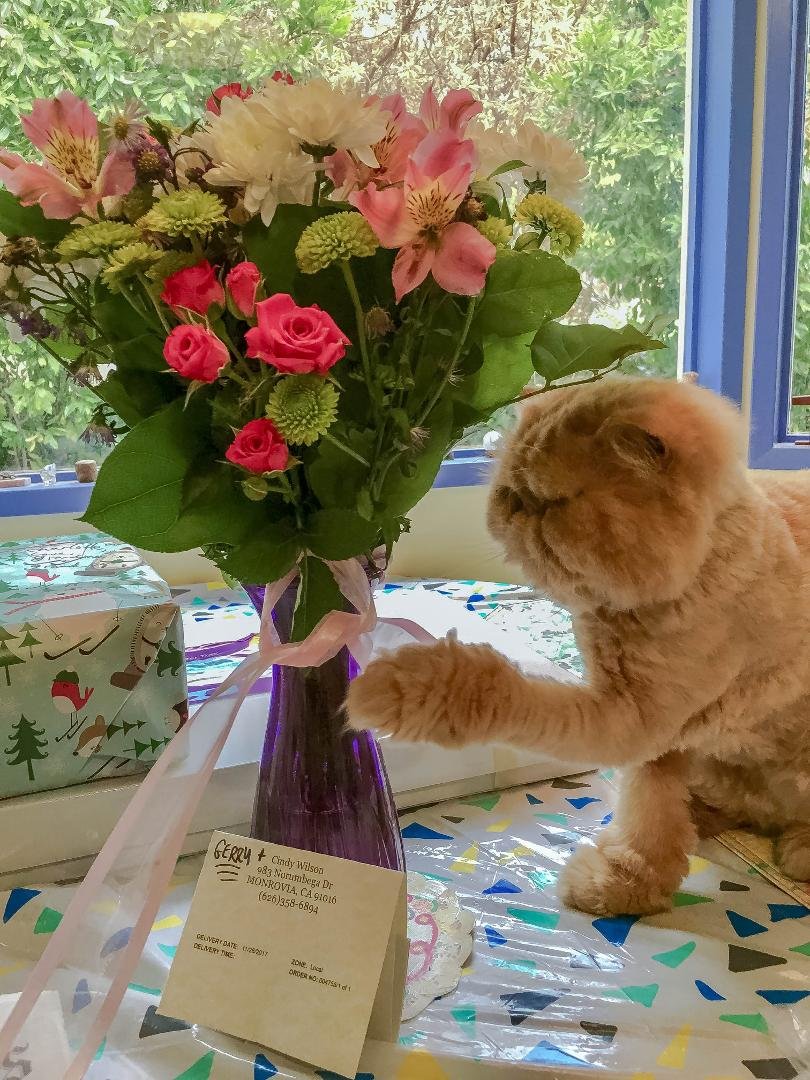 Love those flowers