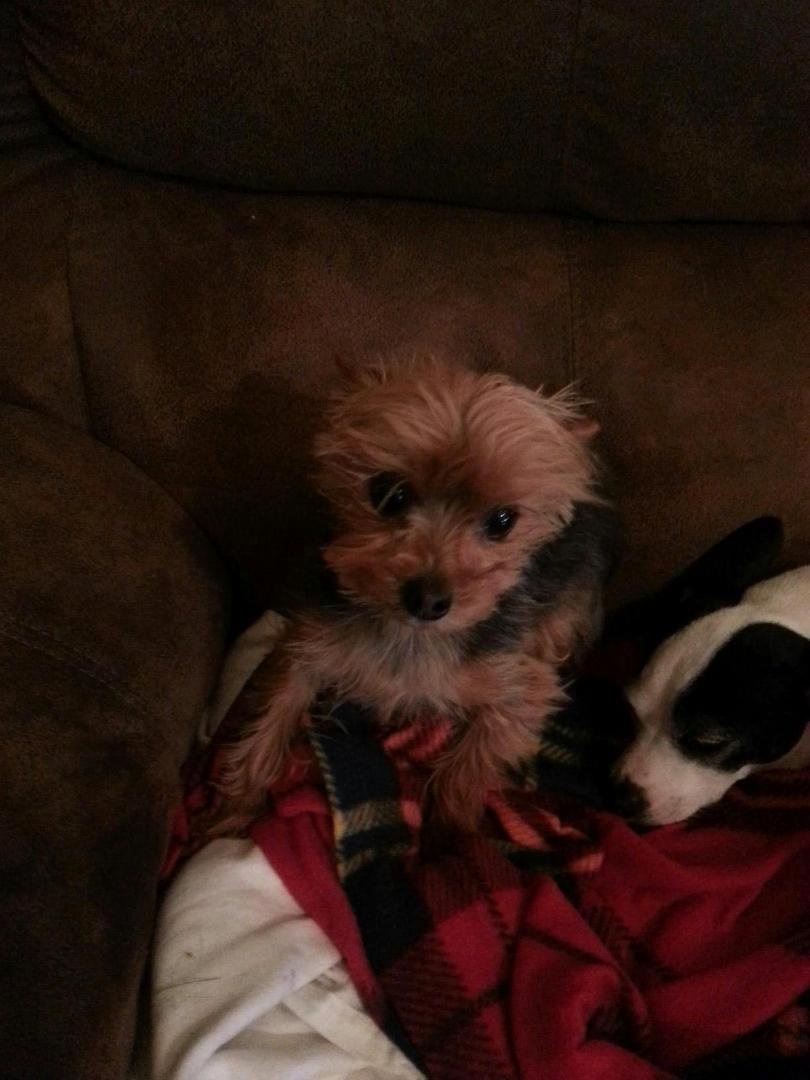 Our Buddy
