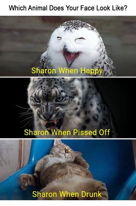 Sharon Johnson's album, Timeline Photos