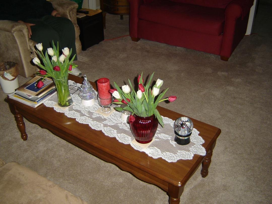 Christmas tulip, Thank you Cynthia, very, very nice.