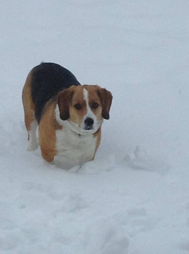 Atreyu doesn't have any legs