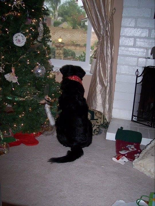 Norma Large Bianchi Medley's album, Timeline Photos