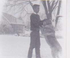 This is Mark, he was the Pollich families dog from Falls Church Va, to Rota Spain. He was such a gift and a very big boy, the picture shows me in the 8th grade petting a very large 8 month old Mark. He was a sweetheart.