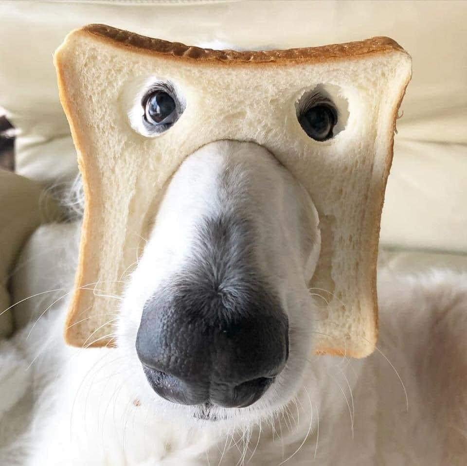 Pure Bread.....