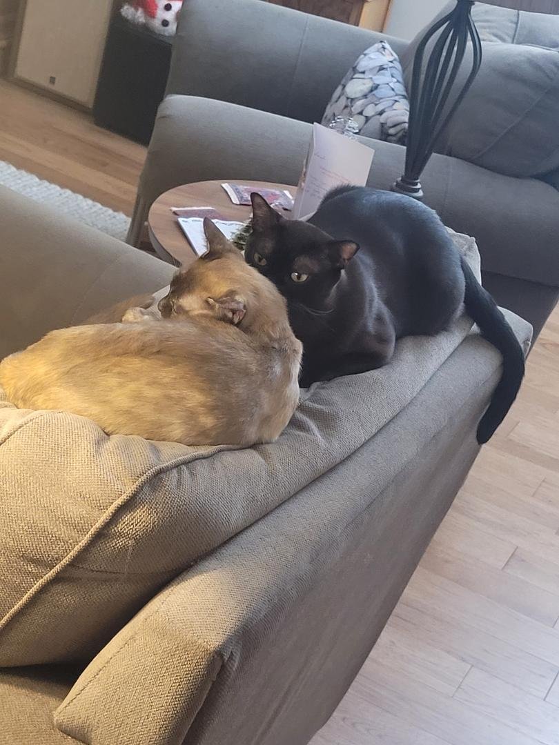 GET A ROOM!!!