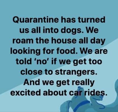 Laurie Stailey's album, Timeline Photos