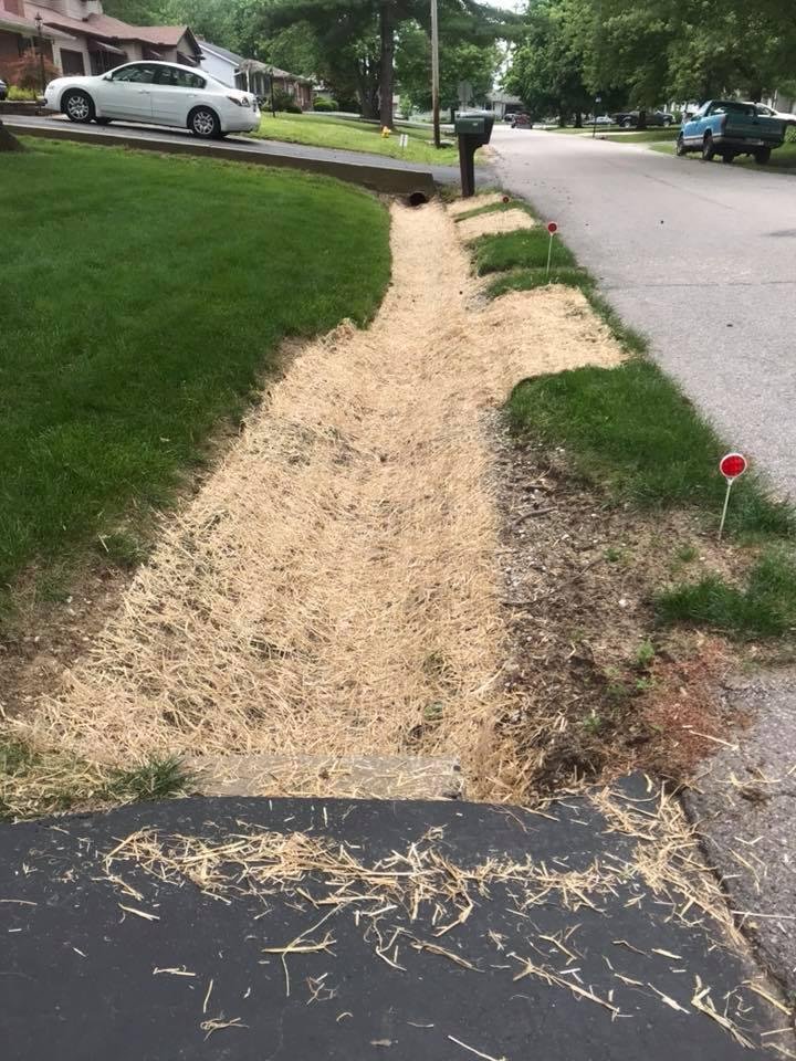 My ditch should get back to normal looking if and when we get some rain.