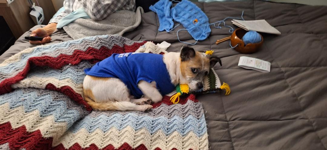 Jack using a pillow that Kyoko made for him