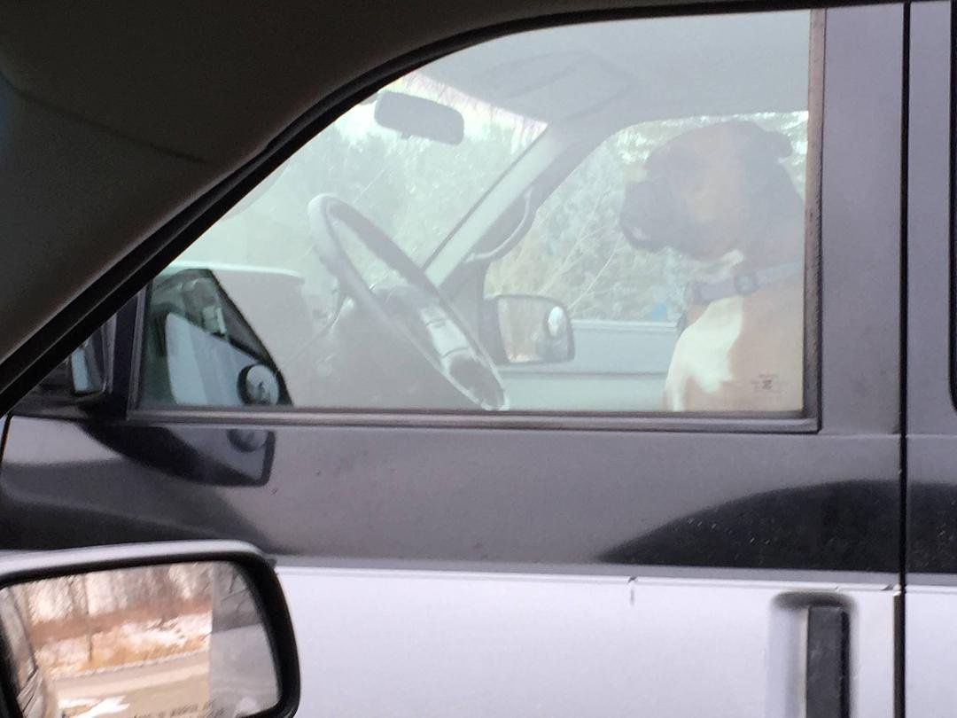 Well, he has a license!