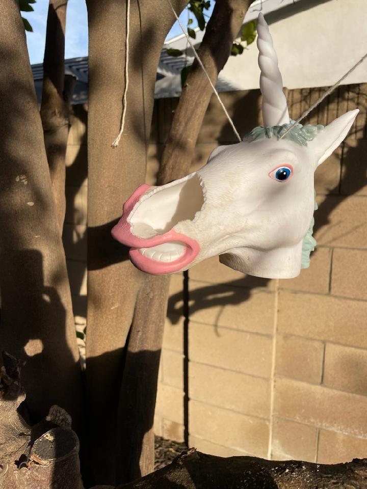 And then last night, the Unicorn Head Squirrel Feeder learned there is something in the backyard other than squirrels . . . .