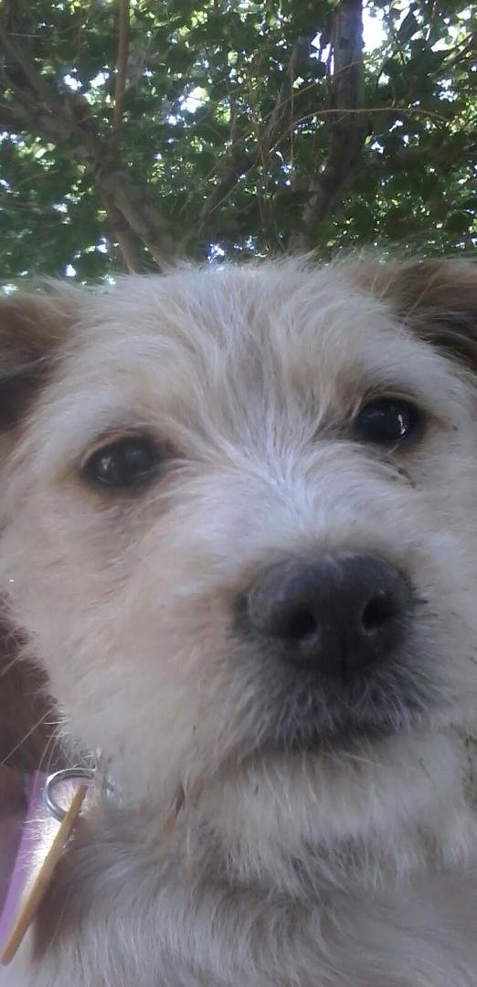 This is Jade..... :)