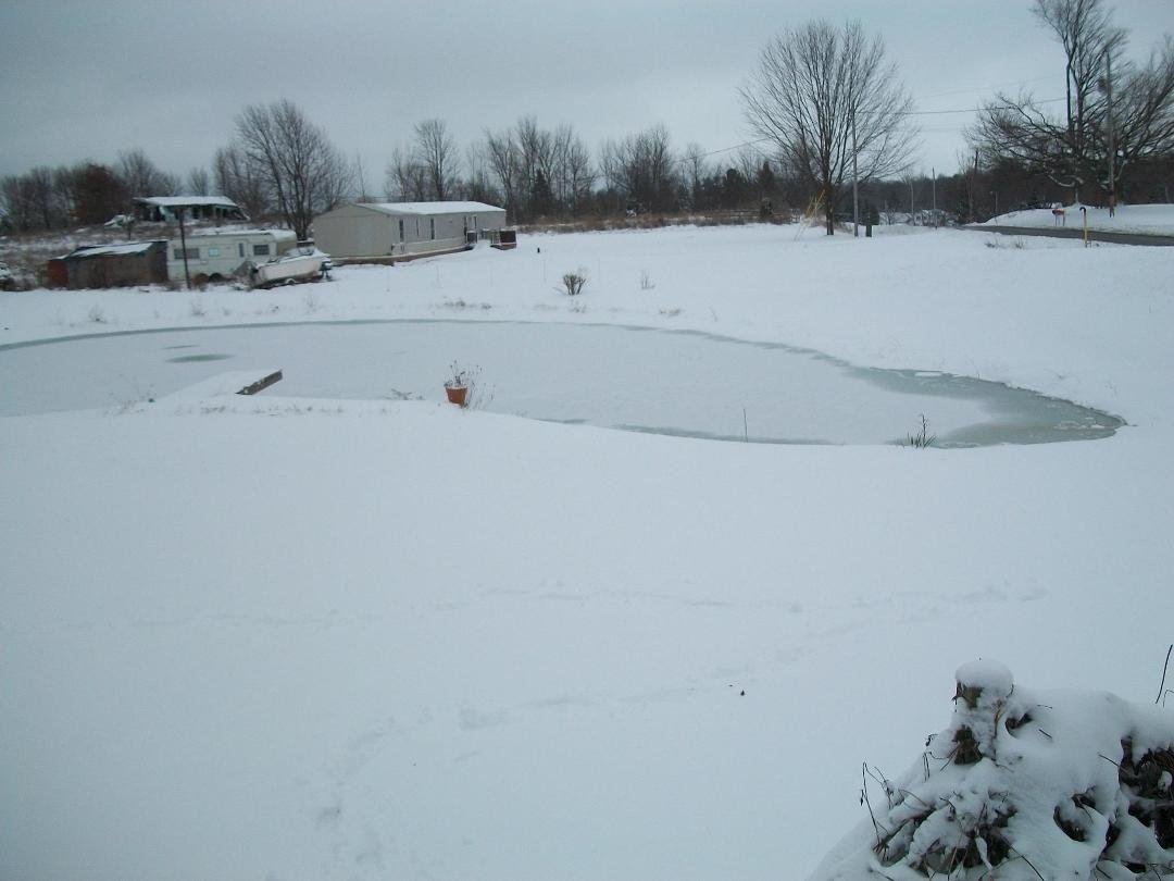 This is the snow we just got about 8 inches.