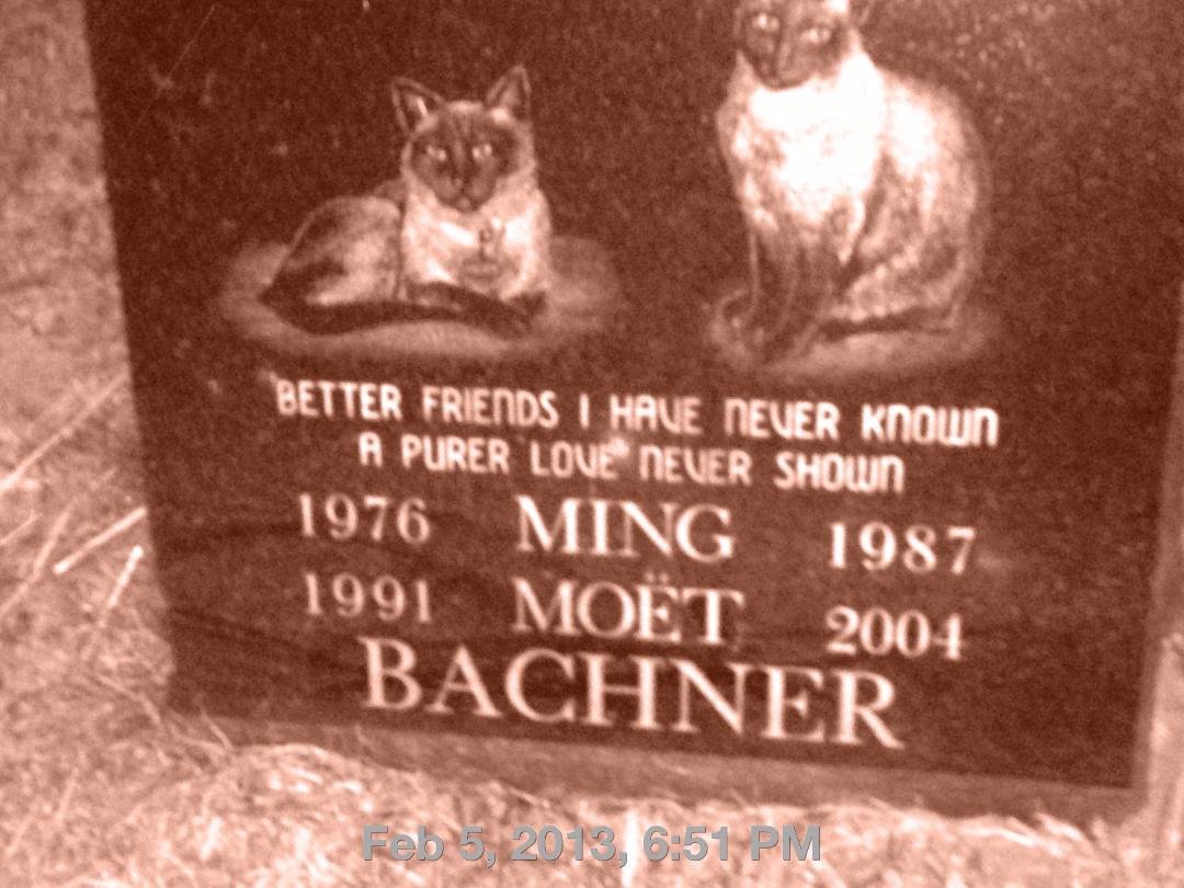 I miss my Meezers!