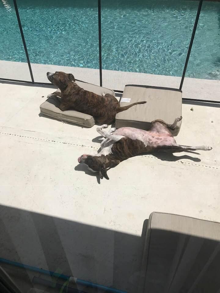 Meanwhile, Just another day in Florida