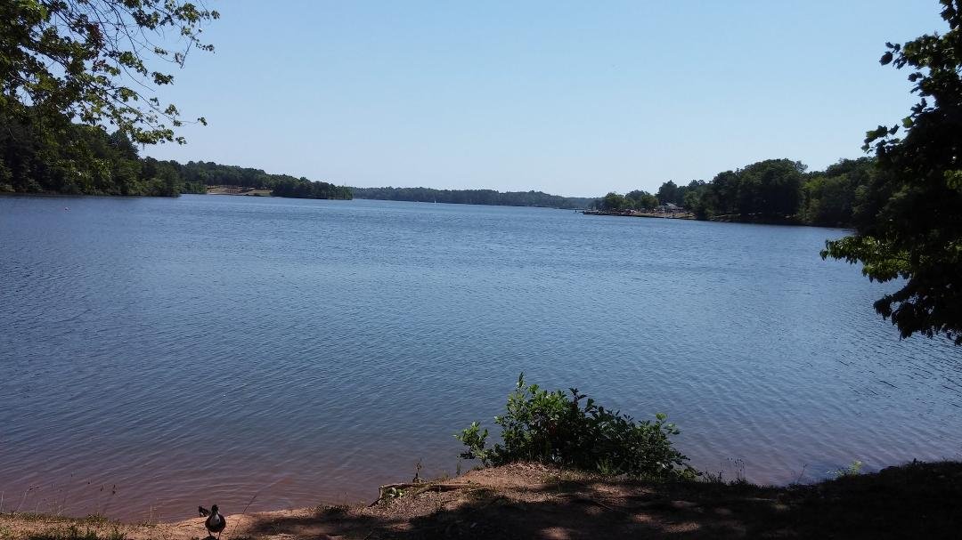 Reminds me of Lake Morena once upon a time.