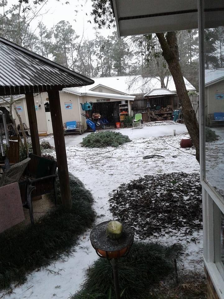 Conrad Windham's album, Timeline photos