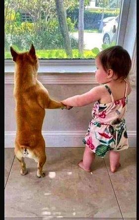Deborah Burdette's album, Timeline Photos