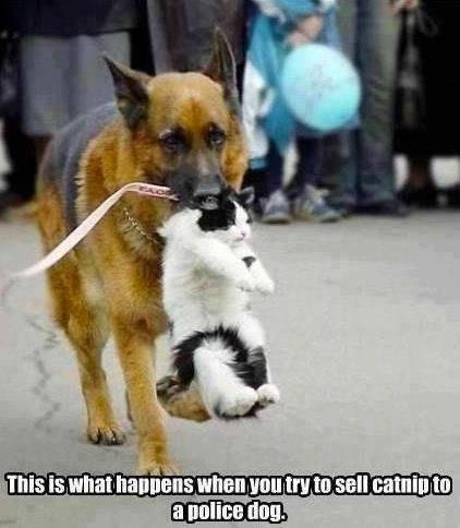 Mike Murphy's album, Timeline Photos