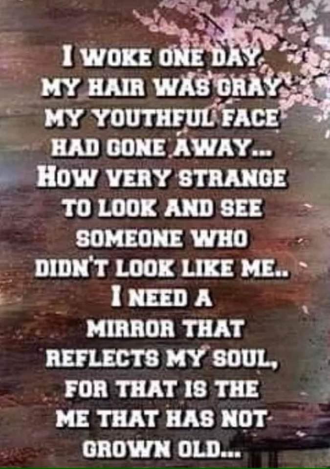 Denise Grace's album, Timeline photos
