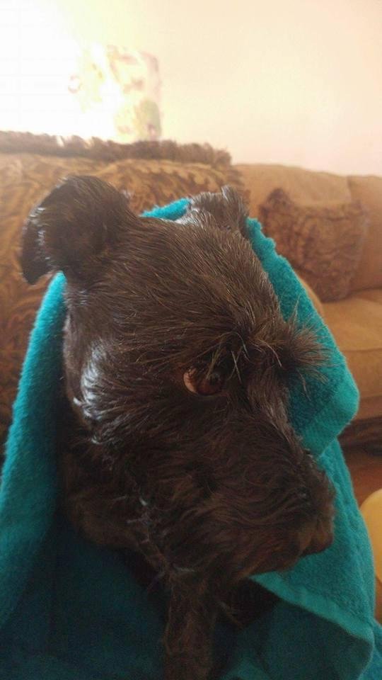 Magi after bath.