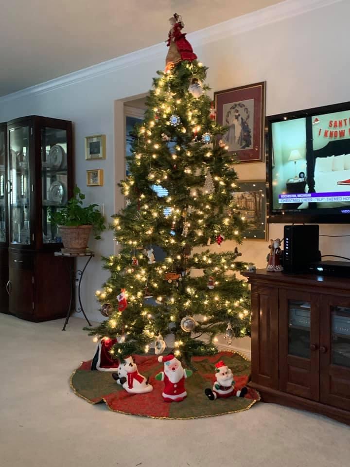 We have always prided ourselves in being just homebody types. Comfortable, not decorated to the nines. I think that sort of shows in our old-fashioned tree with its 25 years of “special” ornaments.