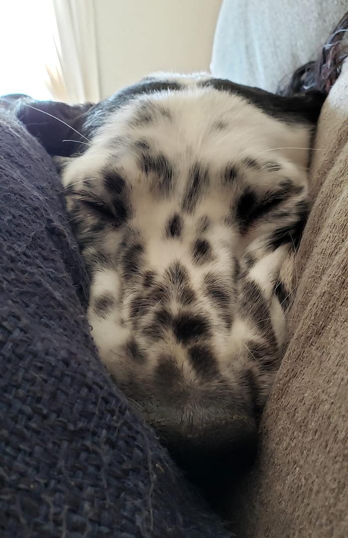 When you have stuff to do and you just don't wanna. - Nox