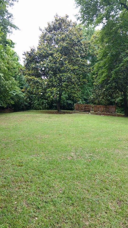 This back yard is large enough to build a house back here and I love it.