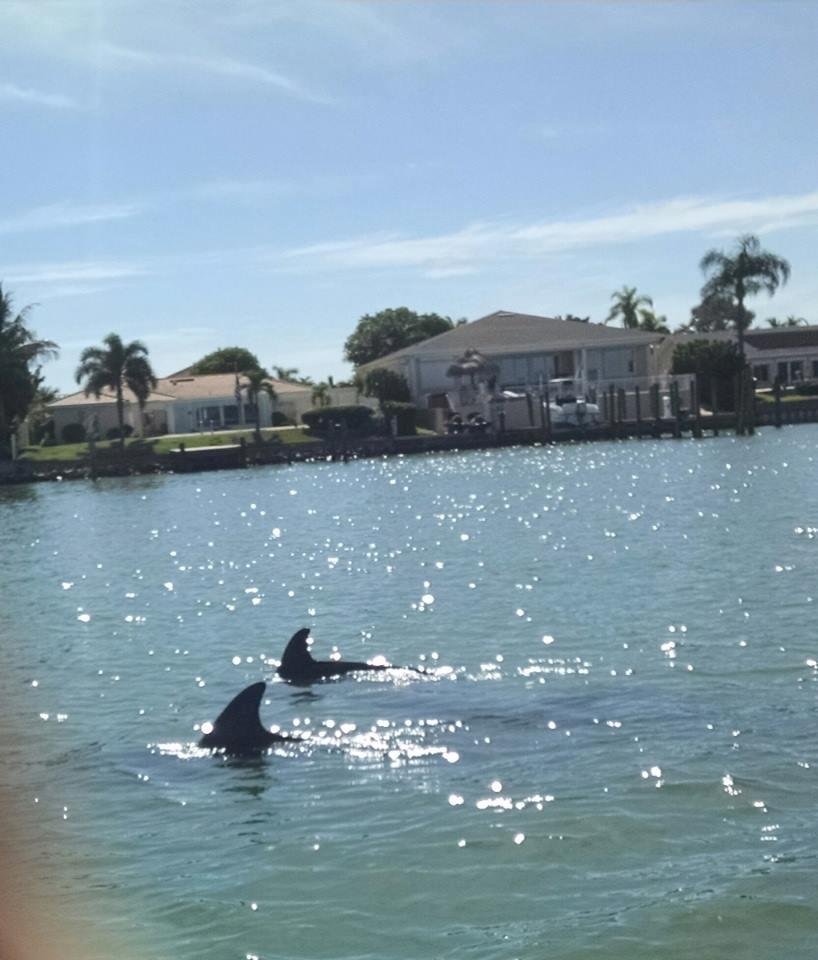 Had a great day with friends on the boat and the dolphin's were swimming right by us.