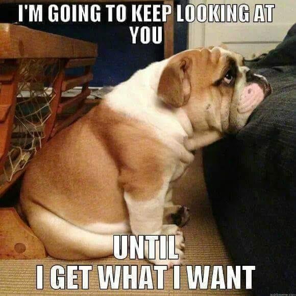 Yep, pretty much 😊