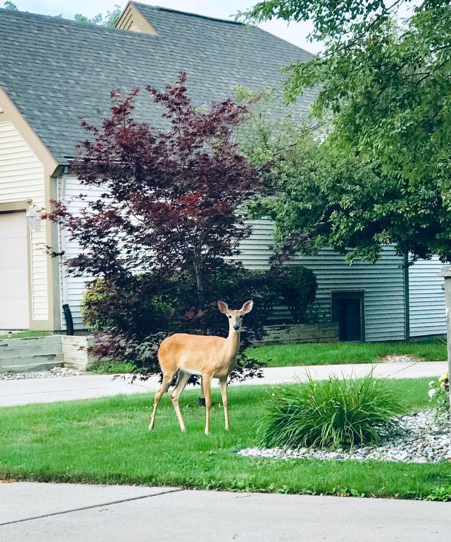 I’m asking those who love the great OUTDOORS to post one picture that YOU took. No description. The goal is to flood Facebook with positive posts. Please COPY the text, put a picture on YOUR page.