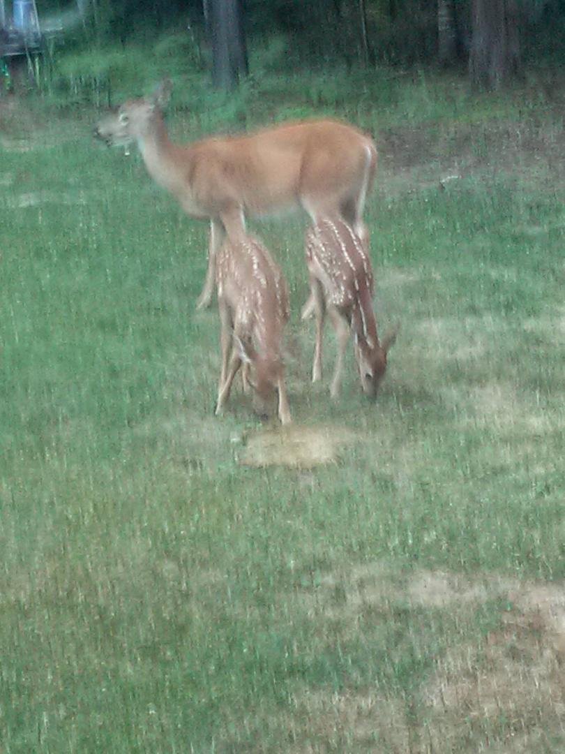 This is at my friends place