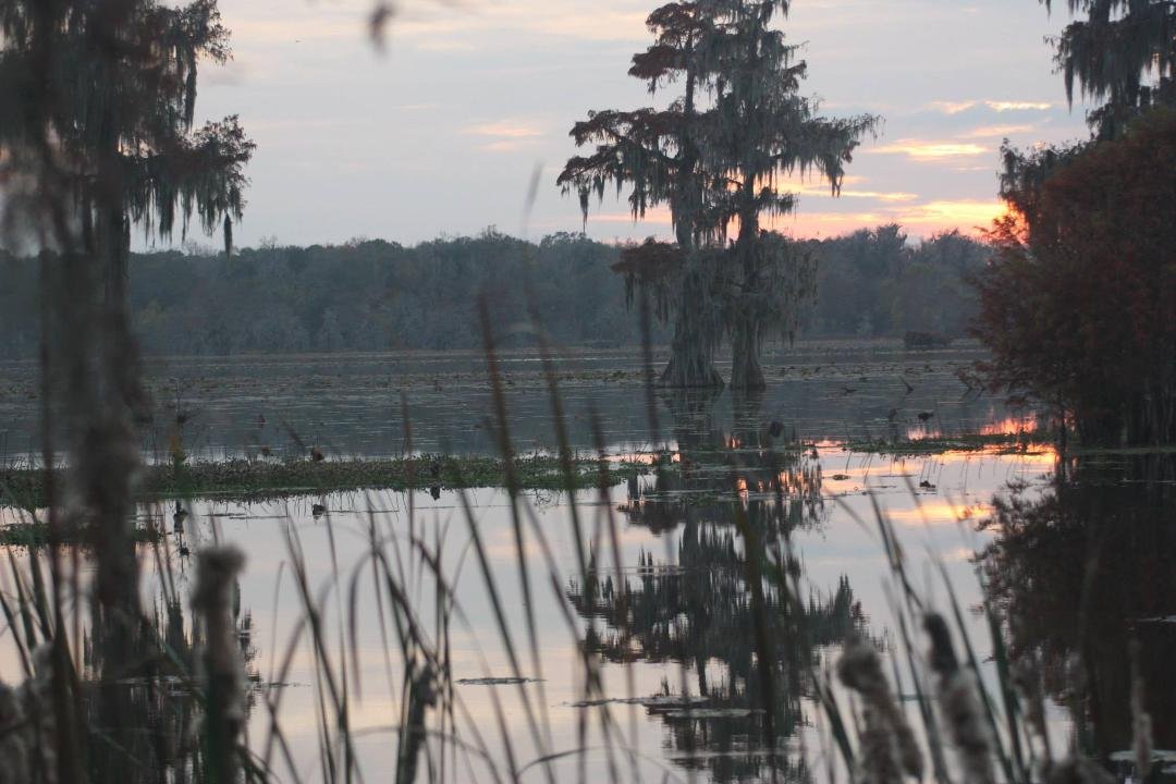 Don Swanson's album, Lafayette, LA