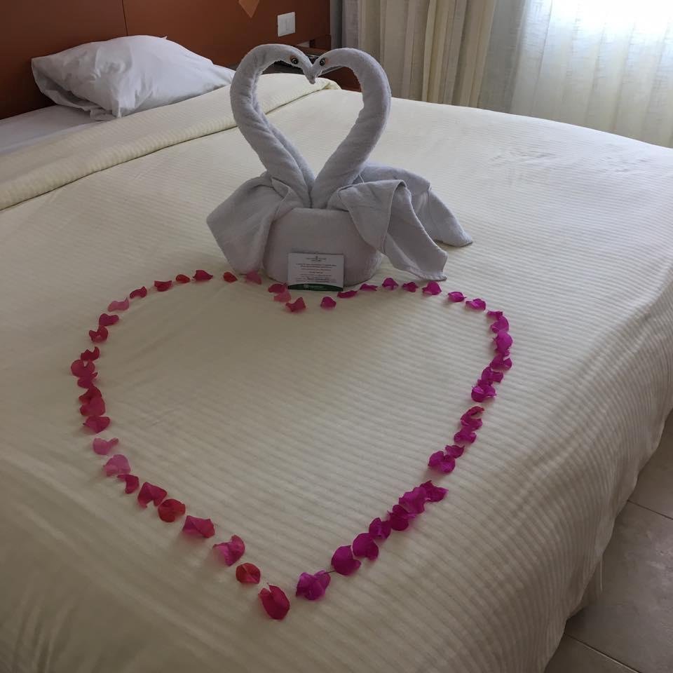 Towel art by our housekeeper.