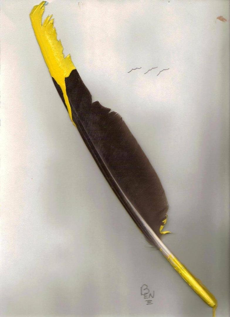 titled;; lost eagle
by; ben3eagles