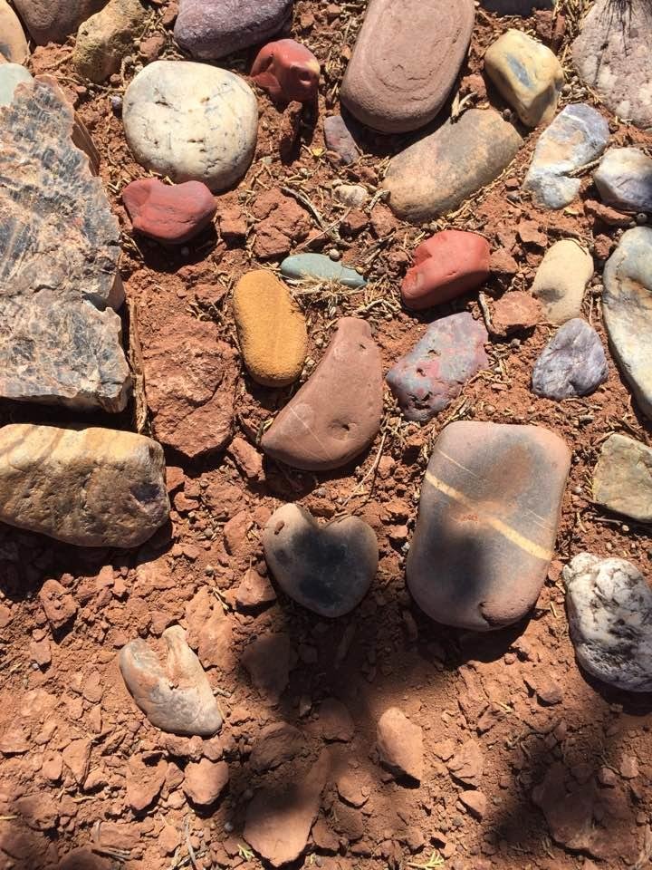 Dana Fellows' album, Timeline Photos