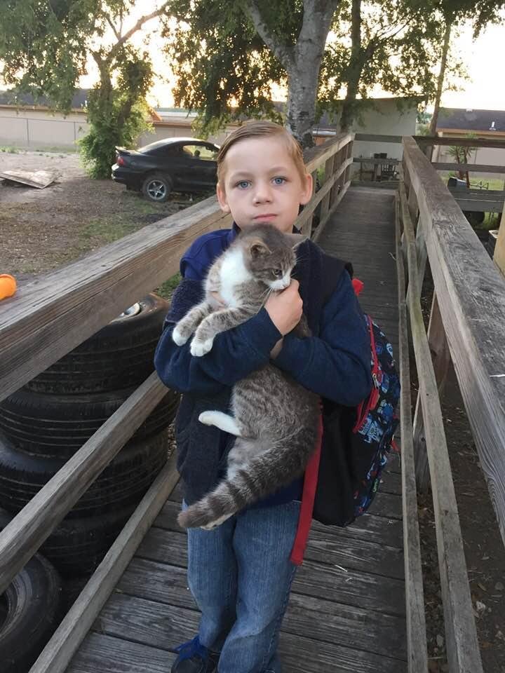 This roaming outdoor cat seems to have adopted Ezavier.
