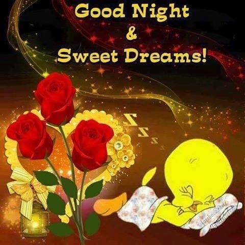 Good night good people sweet dreams