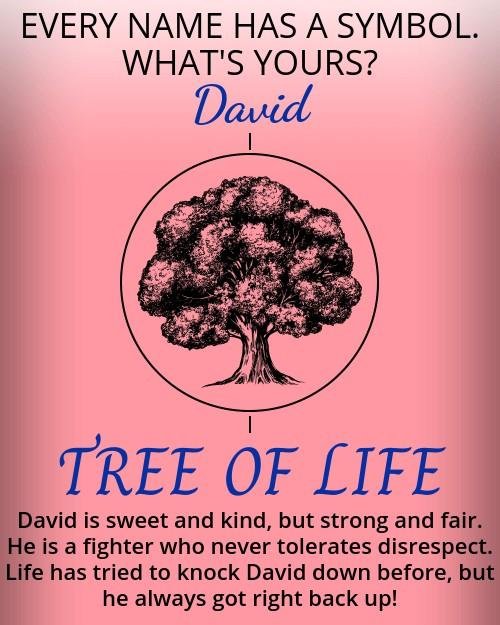 David Barrett's album, Timeline photos