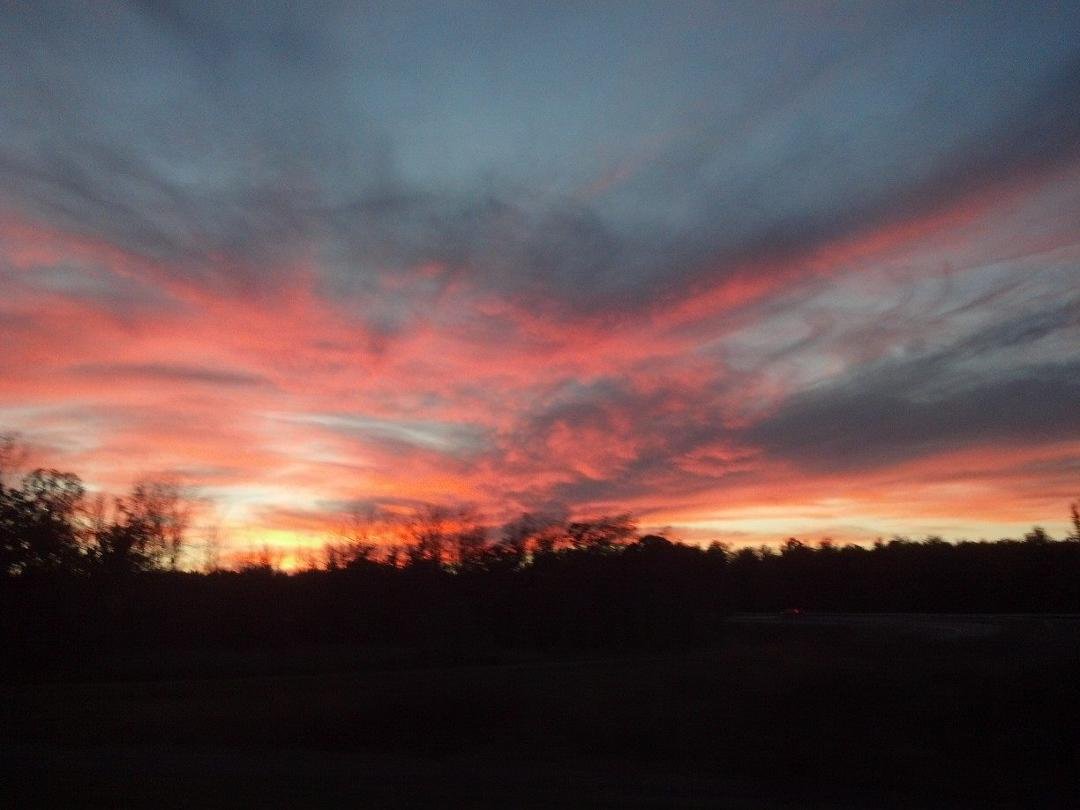 Almost home from our WBU meeting at Cornell Lab. Beautiful end to a beautiful day!