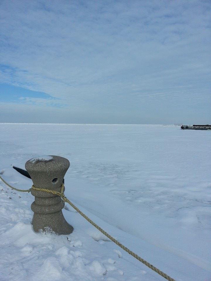 Lake Erie frozen over.if you look close up you can see the white caps frozen