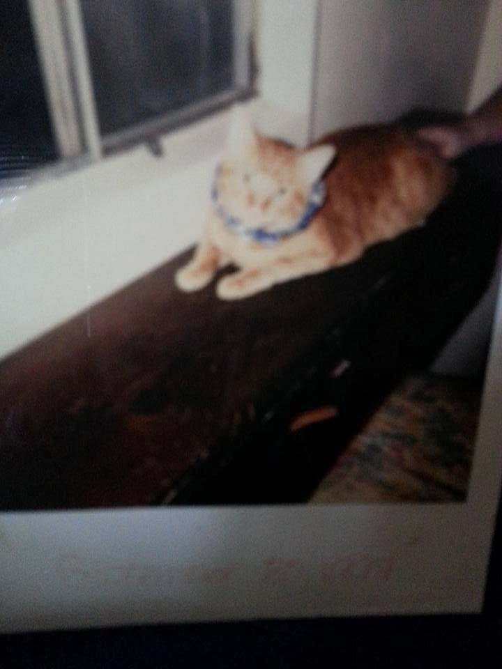 Just found this. Such a cutie.