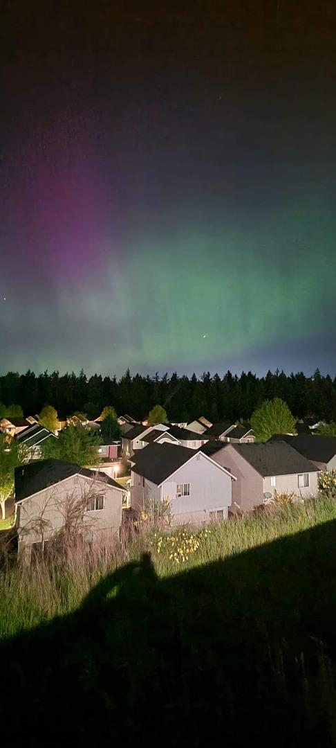 Photo taken by next door neighbor