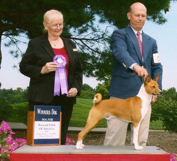 Ch. Kibushi the Oracle, by Ch. C-Quest Soul Driver x Avongara Luka.  With Stan Carter and judge Teri Gavaletz  BCOA National Specialty 2009