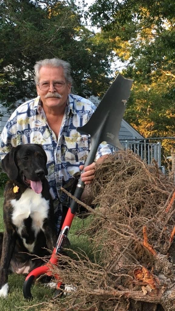 Thank you Peter Lenk - when my Blue Spruce leaned over in an April storm, I asked for the Root Slayer from Grommet for my birthday - probably should not have waited for one of the hottest days of the year to have my puppy "