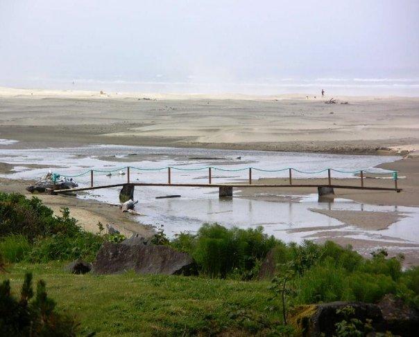 Patsy Crumpacker's album, Oregon Coast - 2009